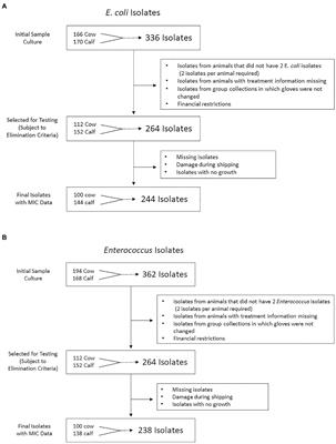 Prevalence of antimicrobial resistance in fecal Escherichia coli and Enterococcus spp. isolates from beef cow-calf operations in northern California and associations with farm practices